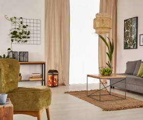 Living room interior small decorative plants Stock Photo 01