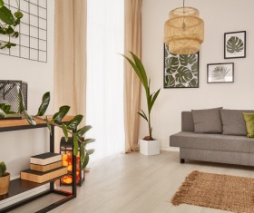 Living room interior small decorative plants Stock Photo 02