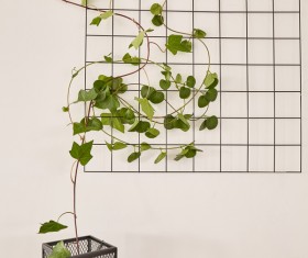 Living room interior small decorative plants Stock Photo 03