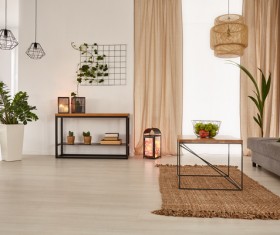 Living room interior small decorative plants Stock Photo 06