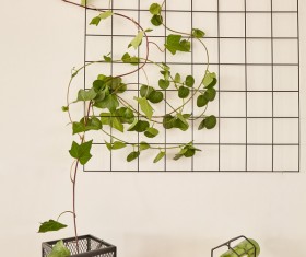 Living room interior small decorative plants Stock Photo 07