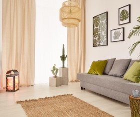 Living room interior small decorative plants Stock Photo 08