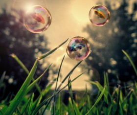 Meadow soaps HD picture