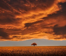 Natural scenery photography HD picture