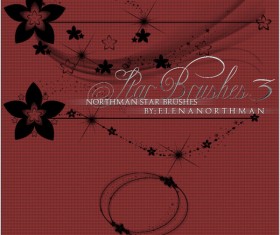 Northman photoshop brushes