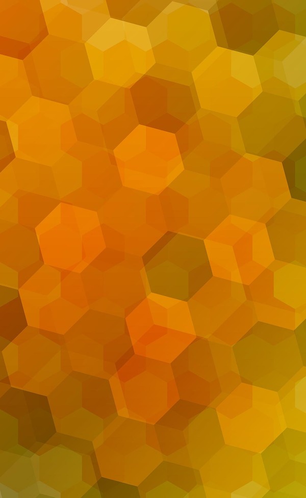 Orange with green hexagon backgrounds vector 01