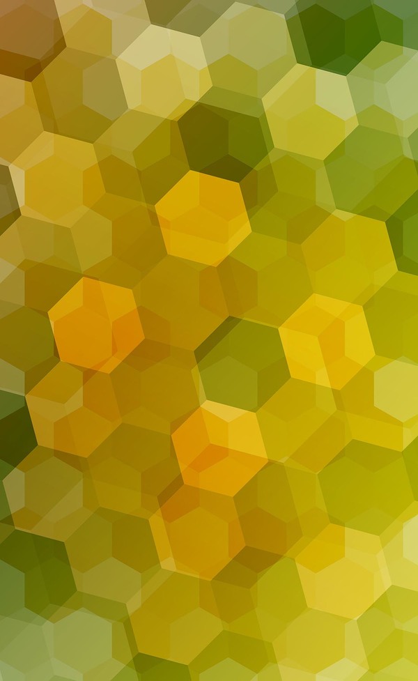 Orange with green hexagon backgrounds vector 02