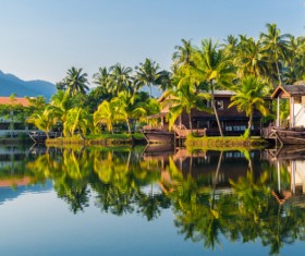 Palm trees and villas Stock Photo 01