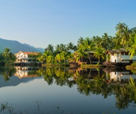 Palm trees and villas Stock Photo 02