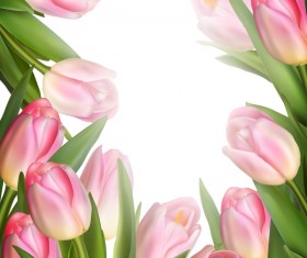 Pink tulips frame vector material
