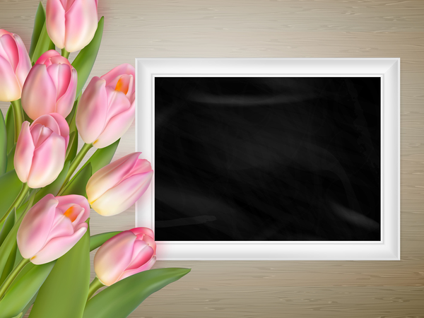 Pink tulips with photo frame vector