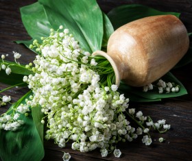 Pour the bouquet of flowers and vases over the table Stock Photo