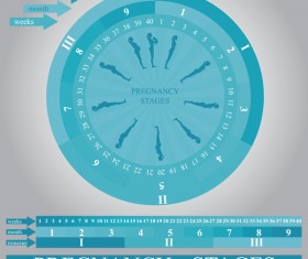 Pregnancy stages infographic template vector 03