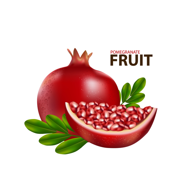 Realistic pomegranate fruit illustration vector 02