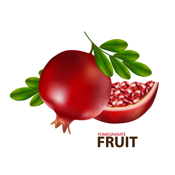 Realistic pomegranate fruit illustration vector 03