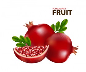 Realistic pomegranate fruit illustration vector 04