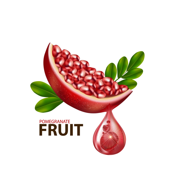 Realistic pomegranate fruit illustration vector 05