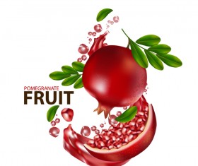 Realistic pomegranate fruit illustration vector 06