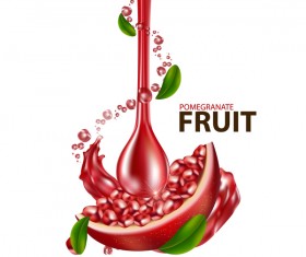 Realistic pomegranate fruit illustration vector 07