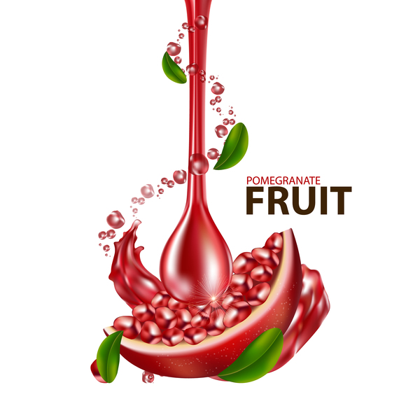 Realistic pomegranate fruit illustration vector 07