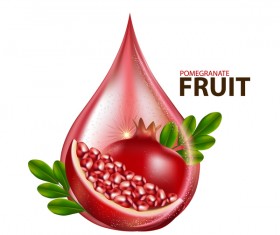 Realistic pomegranate fruit illustration vector 08