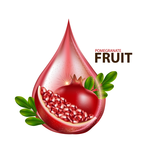 Realistic pomegranate fruit illustration vector 08