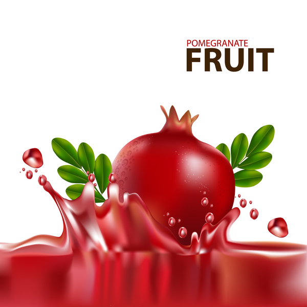 Realistic pomegranate fruit illustration vector 09