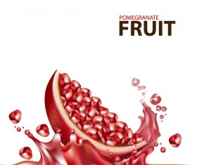 Realistic pomegranate fruit illustration vector 10
