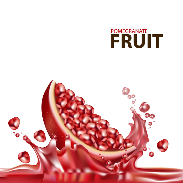 Realistic pomegranate fruit illustration vector 10