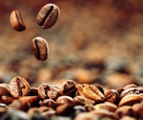 Roasted coffee beans Stock Photo 01