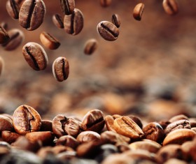 Roasted coffee beans Stock Photo 02