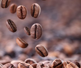 Roasted coffee beans Stock Photo 03