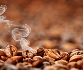 Roasted coffee beans Stock Photo 04