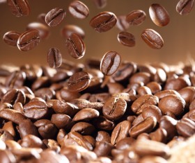 Roasted coffee beans Stock Photo 06