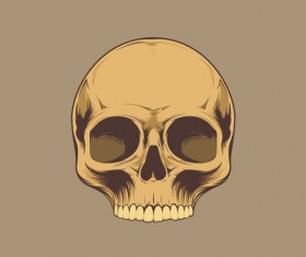 Skull retro illustration vector