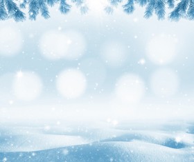 Snow and pine branches Stock Photo 03