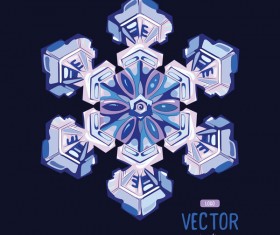 Snowflake shape with black background vector 01