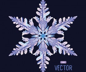 Snowflake shape with black background vector 02