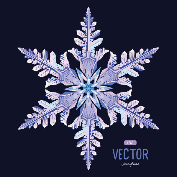 Snowflake shape with black background vector 02