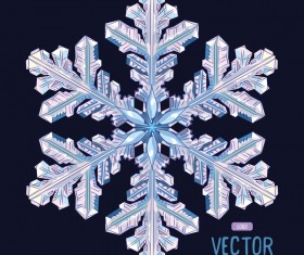 Snowflake shape with black background vector 03