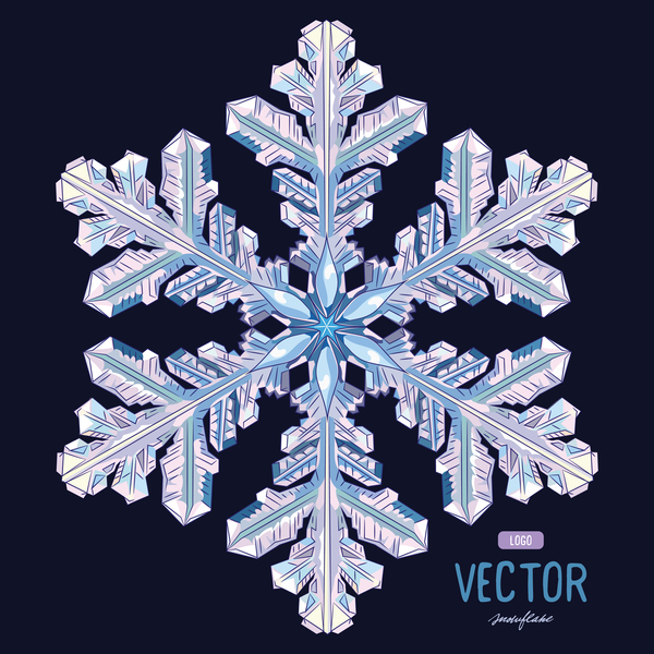 Snowflake shape with black background vector 03