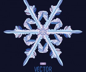 Snowflake shape with black background vector 04