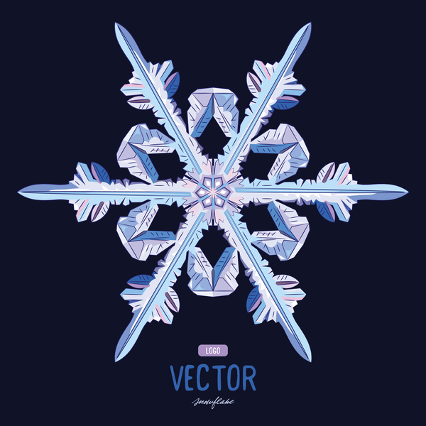 Snowflake shape with black background vector 04