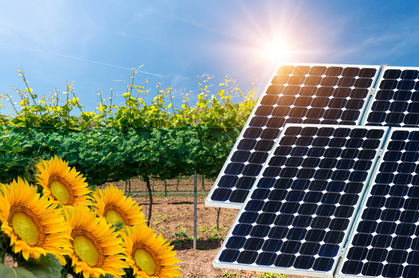 Solar panels and agriculture Stock Photo