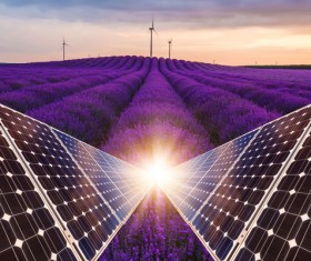 Solar panels with lavender farmland Stock Photo