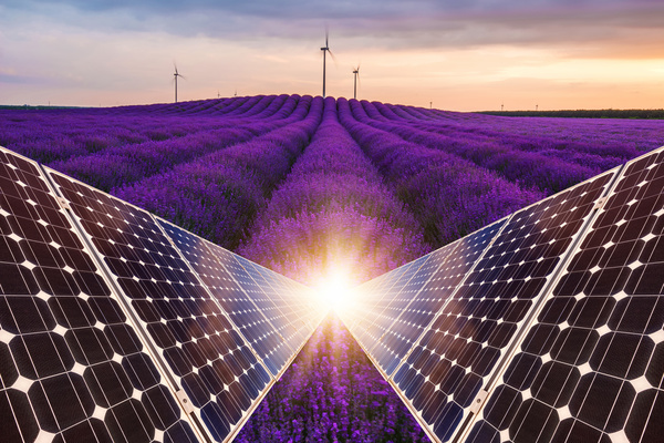 Solar panels with lavender farmland Stock Photo