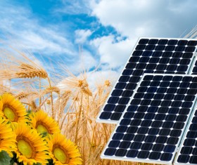 Solar panels with sunflowers Stock Photo