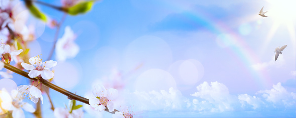 Spring 2017 Backgrounds HD picture 05