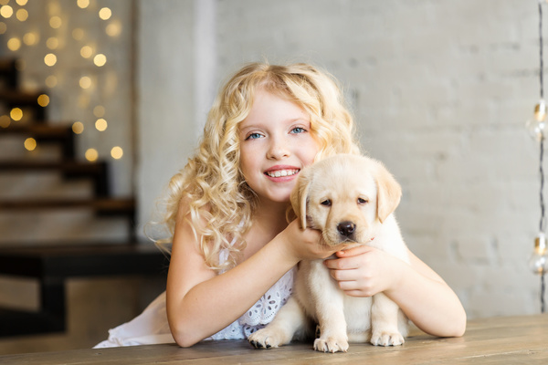 Stock Photo The little girl and Labrador 01