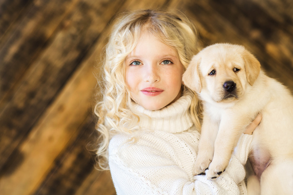 Stock Photo The little girl and Labrador 03